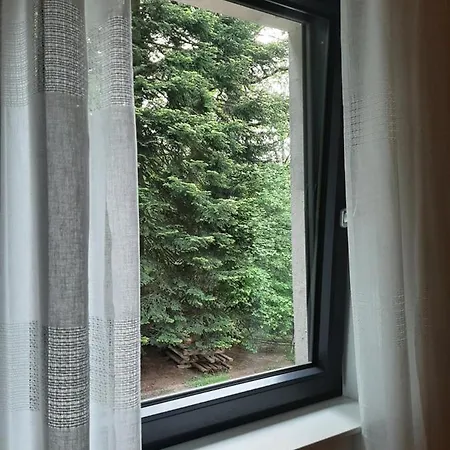 Waldurlaub Klingelborn Im Sauerland * Balve