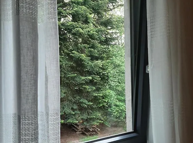 Waldurlaub Klingelborn Im Sauerland * Balve